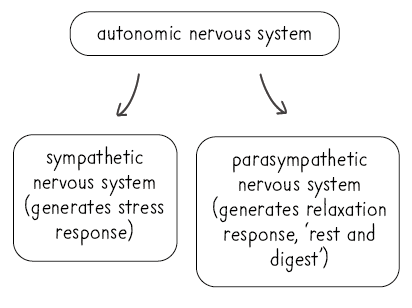 autostress