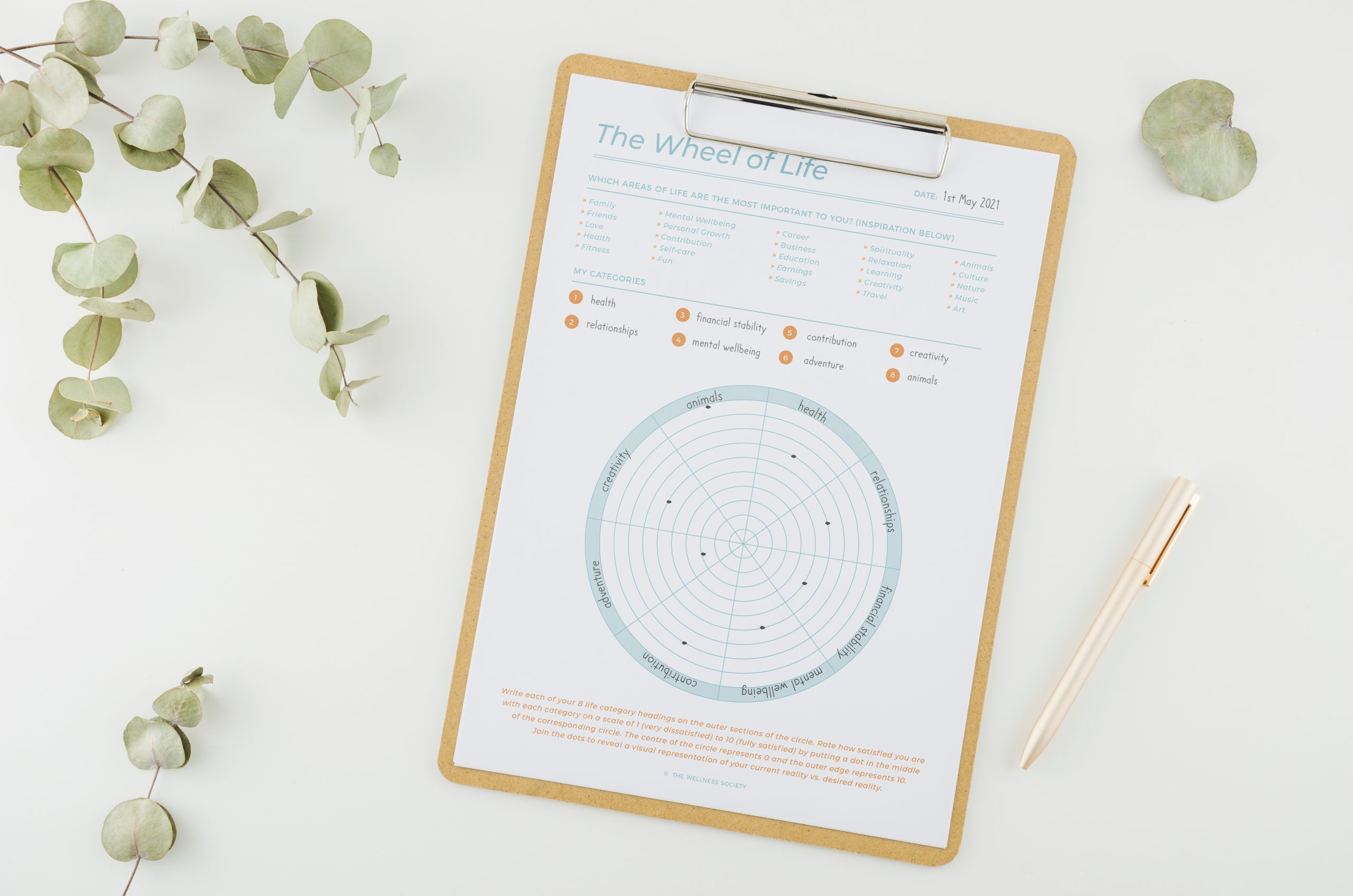 The Wheel of Life Coaching Tool: An Easy Step-by-Step Guide for Coaches -  The Wellness Society