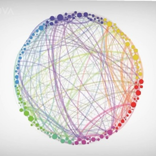 Mathematical model of brain during psychedelic use